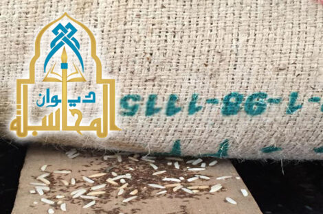 ديوان المحاسبة