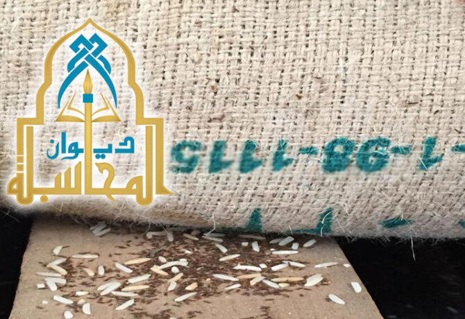 ديوان المحاسبة