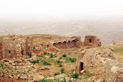 الرياينة