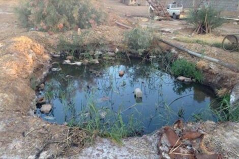 ملاريا ليبيا