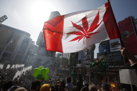 الماريجوانا في كندا