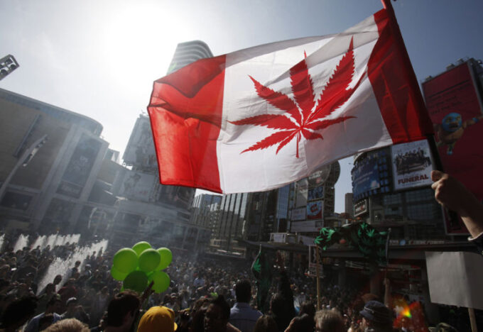 الماريجوانا في كندا