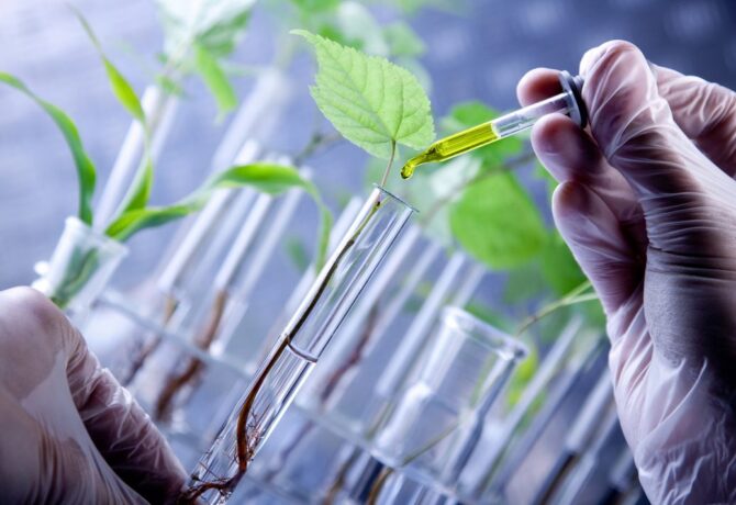 التكنولوجيا الحيوية