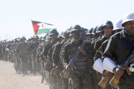 البوليساريو