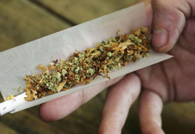 لبنان.. إقرار تشريع «الحشيش»