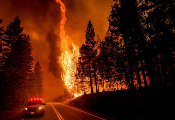 في مقاطعة بلوماس بولاية كاليفورنيا ، قفزت ألسنة اللهب من الأشجار على الطريق السريع 89 شمال جرينفيل في 3 أغسطس 2021