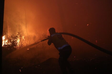 غابات اللاذقية تتحول إلى رماد وسط معركة مع النيران