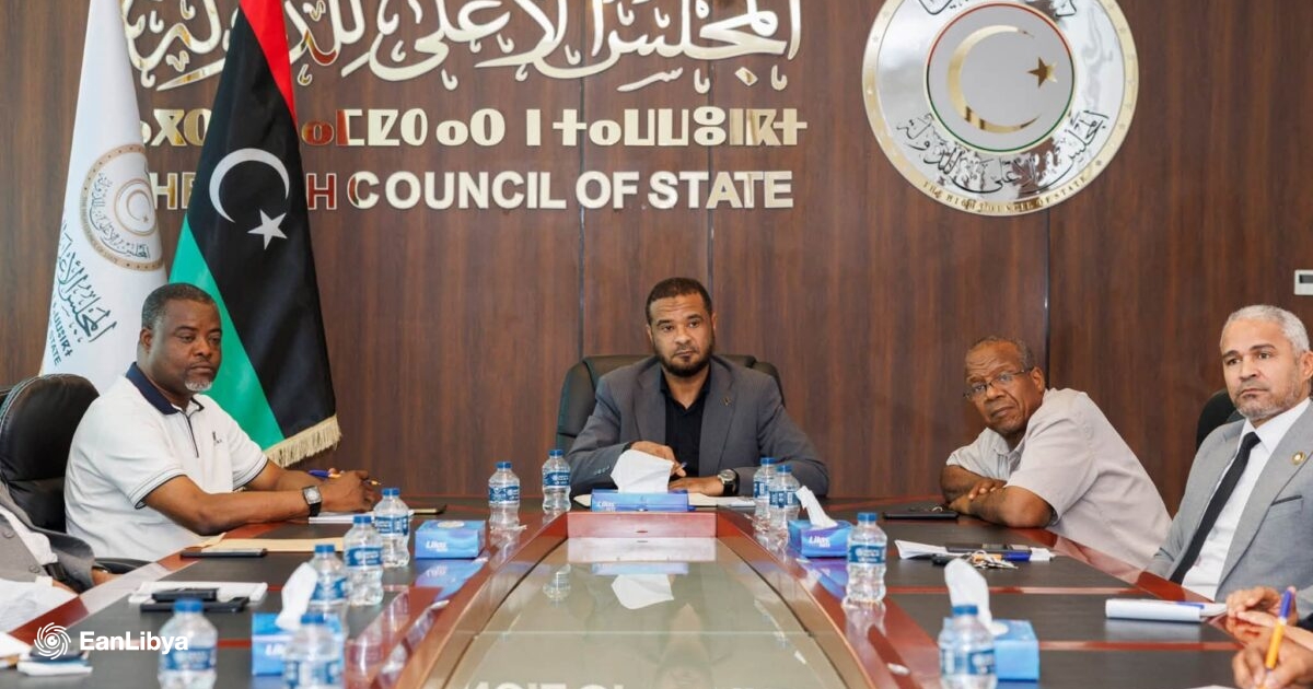 الأعلى للدولة يبحث أزمة الكهرباء وتلوث المياه في الجنوب