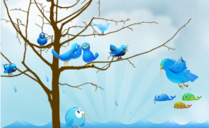 نجوم الشبكات الاجتماعية في مهب الريح