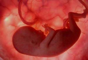 الام قدوة لابنها حتى في طريقة الاكل