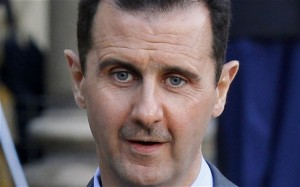  الأسد يبحث عن ملجأ بفنزويلا