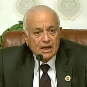 نبيل العربي