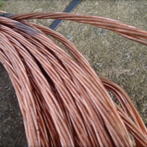 95f21ea2-d40b-49e9-80e4-b605266010a9