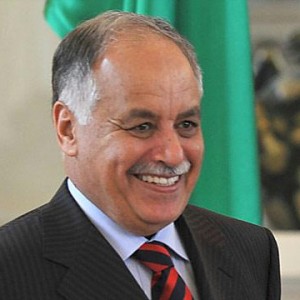  البغدادي المحمودي