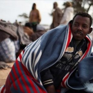 a1c9e87d030734b28a8db8564f8310b9