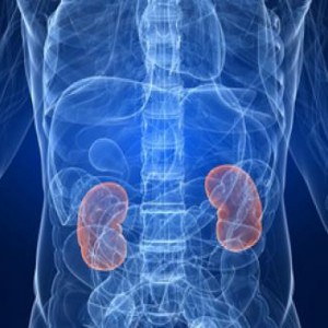 436x328_29289_121172