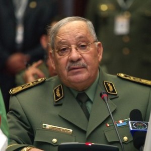 bf22969ae75f6bfeed67f_XL_367757920