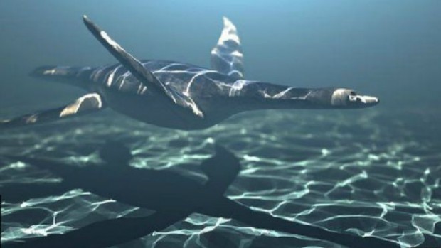 151218130218_fossile_plesiosaur_640x360_bbc_nocredit