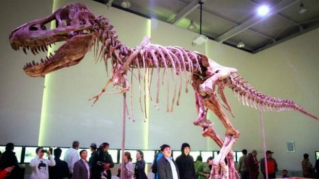 151222155159_nicolas_cage_640x360_afp_nocredit