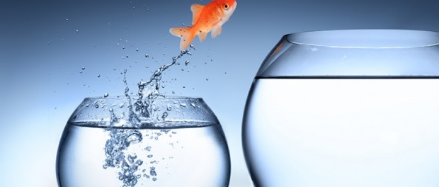 568394e4d073earticle_3309_1