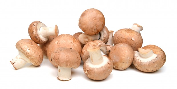 Paris-brown-mushrooms