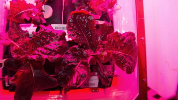 fba009bf-1850-4730-9e33-d0c379a3f6dc3