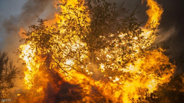 حرائق غابات في إسبانيا