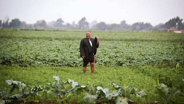 EGYPT-NILE-AGRICULTURE