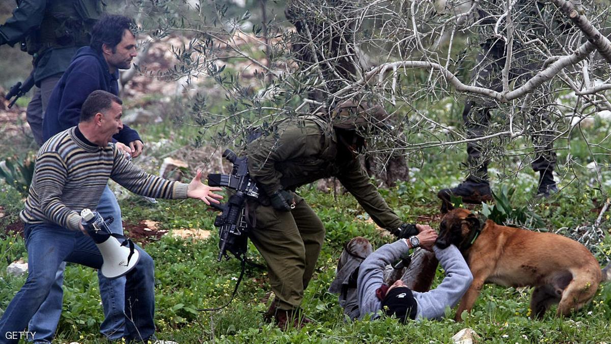 كلب بوليسي للجيش الإسرائيلي ينهش جسد فلسطيني خلال مسيرة في قرية كفر قدوم بالضفة الغربية
