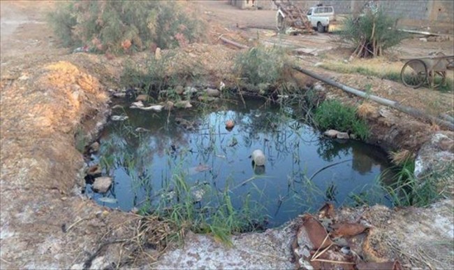 ملاريا ليبيا