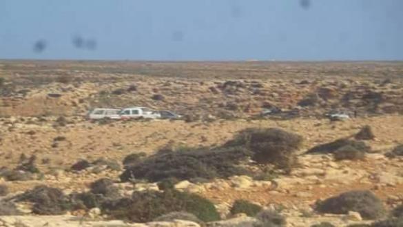 1918604_1032984323424533_5865400977733289311_n (1)