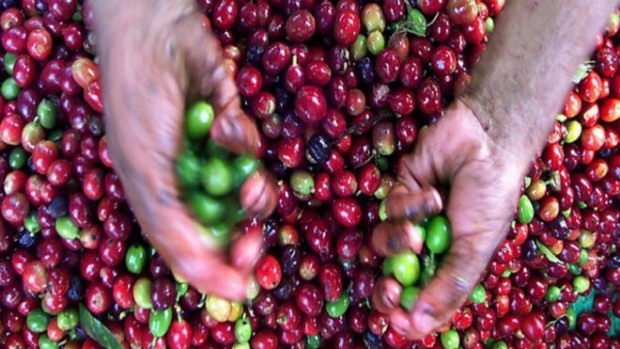 646afa63-d765-43d5-9e71-3b3ac154079e_16x9_600x338