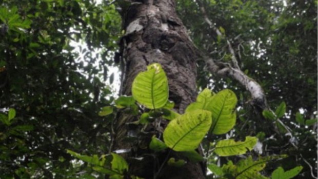 646afa63-d765-43d5-9e71-3b3ac154079e_16x9_600x338