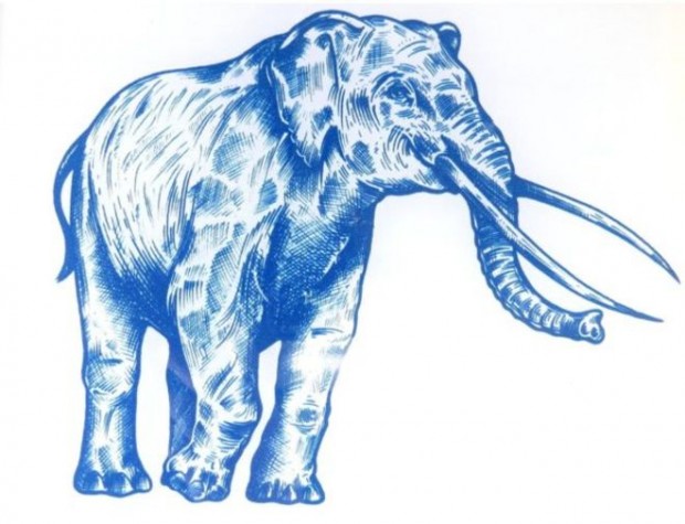 646afa63-d765-43d5-9e71-3b3ac154079e_16x9_600x338