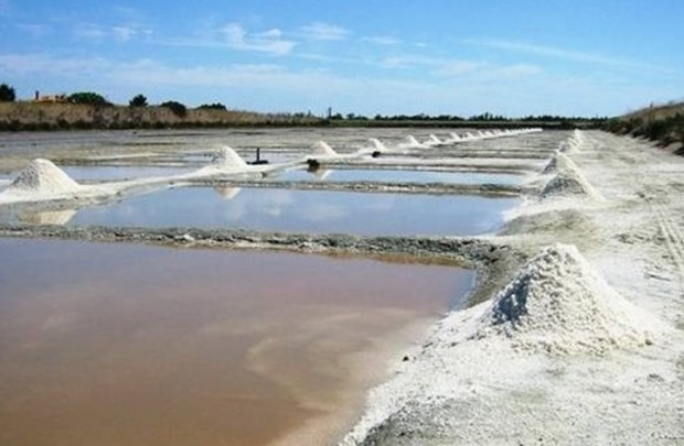 646afa63-d765-43d5-9e71-3b3ac154079e_16x9_600x338