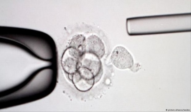 ec0d2938a49183cf3ed580b4429bf3fc