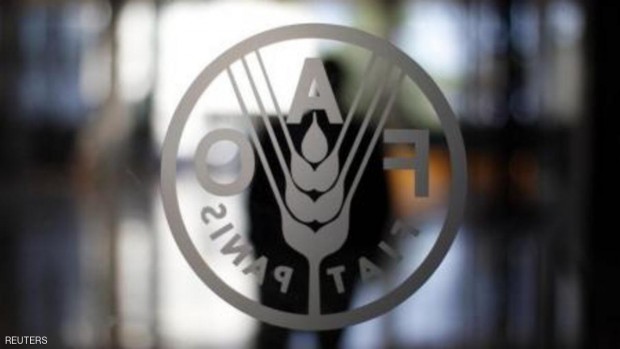 شعار منظمة الأغذية والزراعة (فاو) في مقر المنظمة بروما.