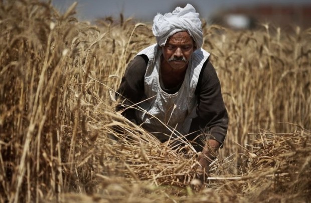 12765593_1072021932818352_736943779_o