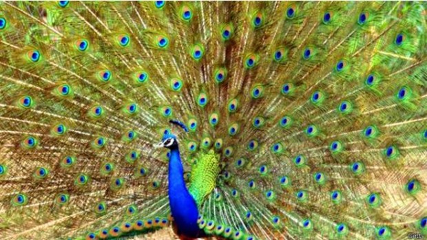 160213090152_syria_640x360_getty_nocredit