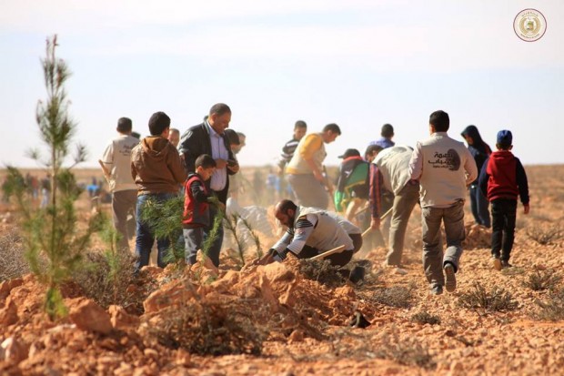 1b3bc0f11fbbca8860dc91b0a3793bed