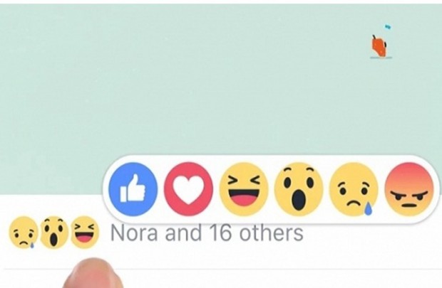 8064859cb80b1fb516aa84bbc637116d