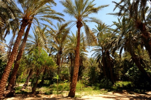 8064859cb80b1fb516aa84bbc637116d