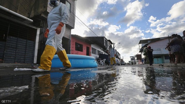 ينتقل المرض عبر البعوض