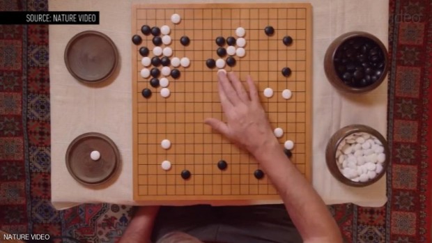 لعبة Go التي تعد من أكثر الألعاب الآسيوية تعقيداً