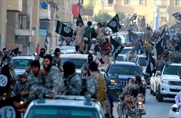 1982124_984799594935170_6804626954150335124_n