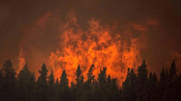Flames from a wildfire approach trees on the edge of the airport in La Ronge, Saskatchewan