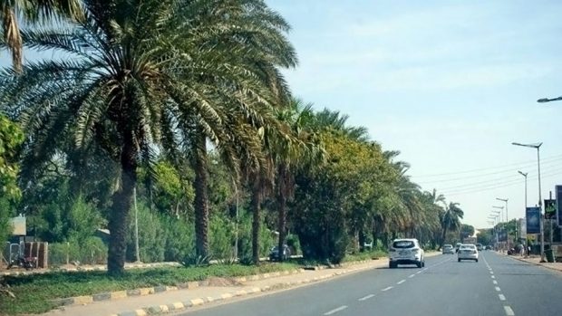 جانب من شارع النيل