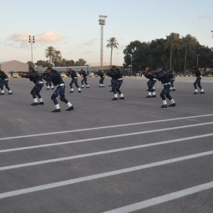 80324034_2623935611036448_6937224038263554048_o