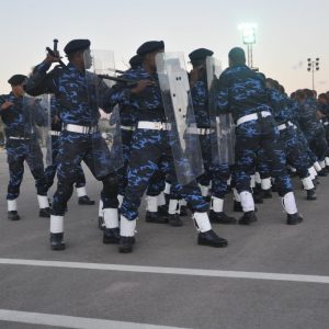 80361204_2623936187703057_6039352659654213632_o