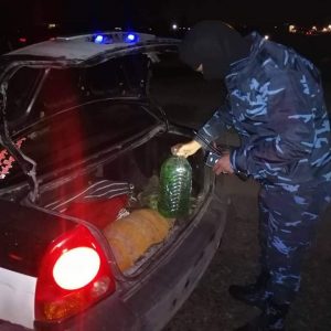 81988031_2663492700414072_3868439823320612864_n